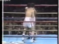 Julio Cesar Chavez - Ruben Castillo