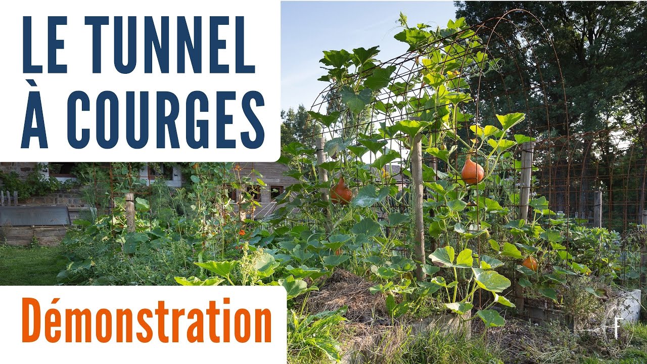 Créer votre tunnel à courges : explication rapide - YouTube