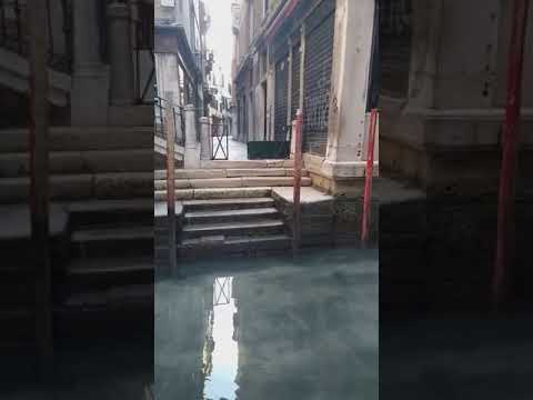 Venezia senza traffico e senza turisti, video di Marco Capovilla