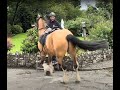 My horse wont stand still! What can I do?