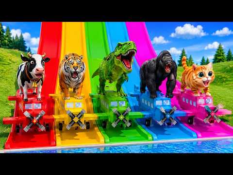 Long Slide Game With Cow Elephant Gorilla Hippopotamus Tiger 3d Animal Game Funny 3d Animals