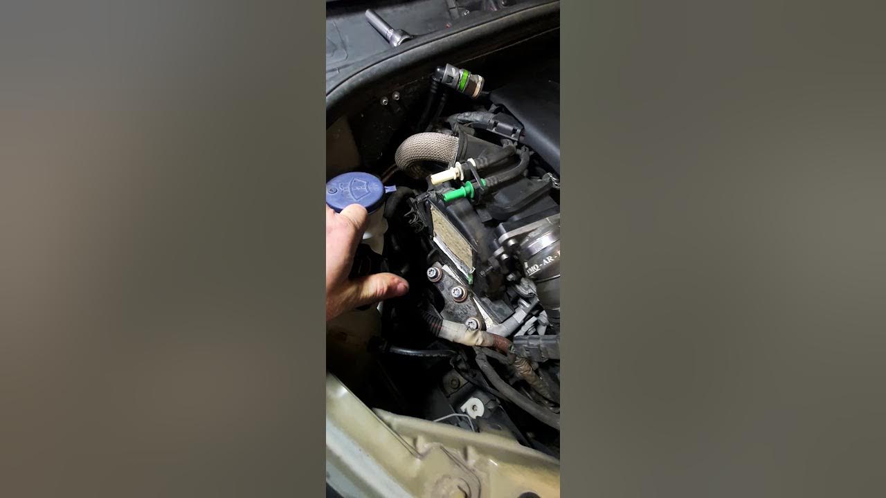 Méthode courroie de distribution CITROEN C3 1.4 HDI avec la transparence d