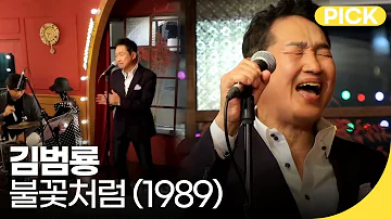 김범룡 - 불꽃처럼 (1989) | 백투더뮤직 싱어롱 | 재미 PICK