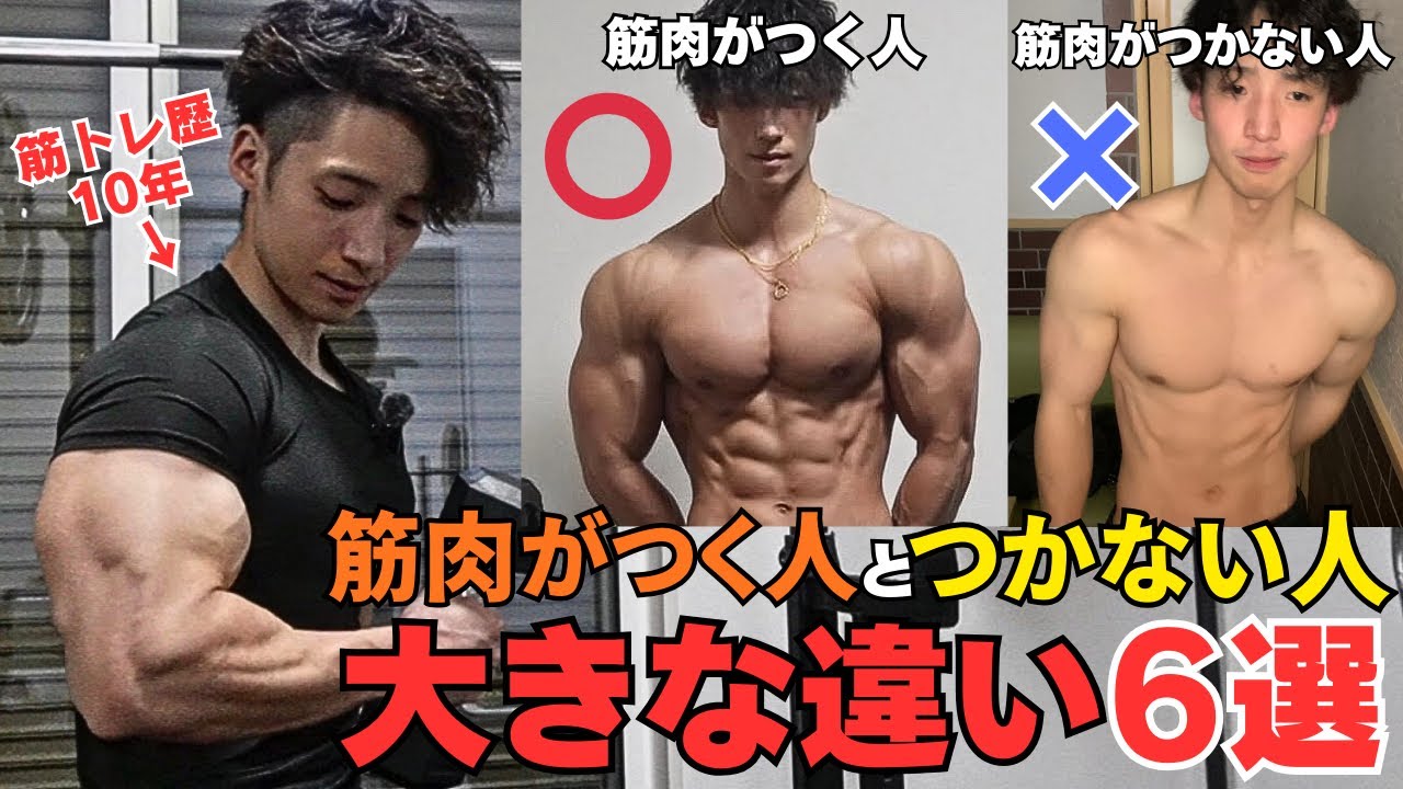 【筋肉がつかない人へ】筋肉がつく人とつかない人の違いはこれです