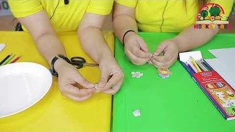 K1 - Science Experiment - Water blooming paper flower