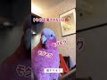 食事中にお返事をを強要したら怒られた【おしゃべりオウム】【モモイロインコの春ちゃん】