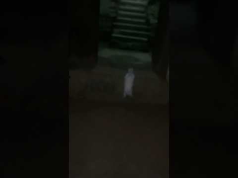 جبت الارنب من الشارع الساعه 12 بالليل كان طالع رايح فين 