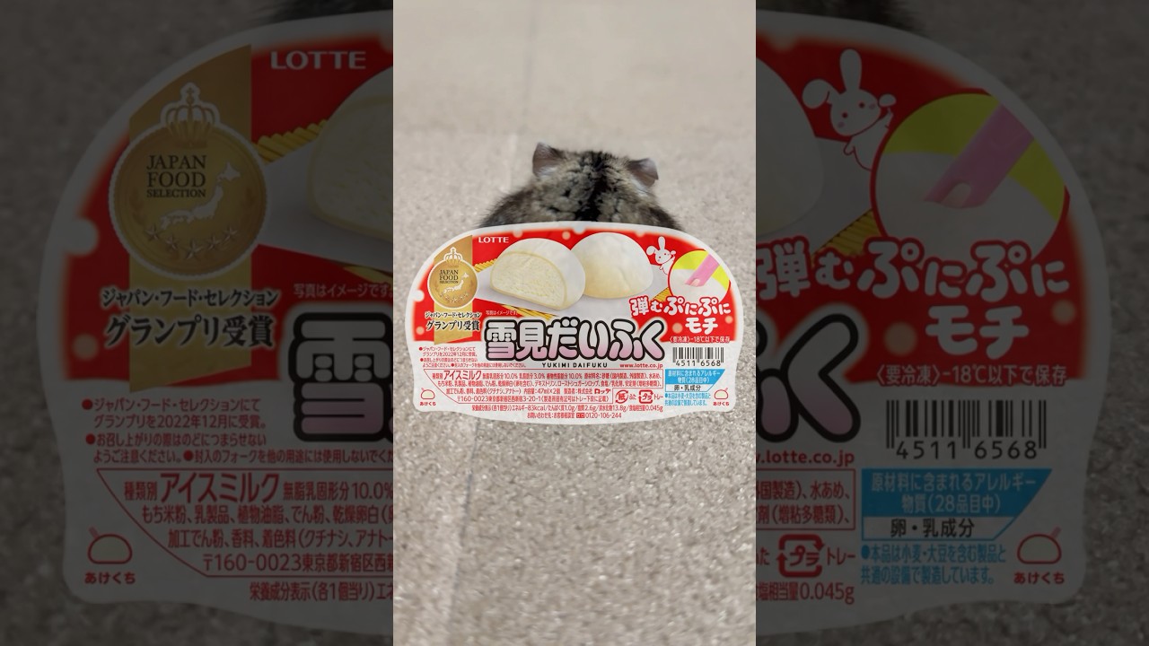 ハムスターを雪見だいふくに見立ててみた！ #おもしろ