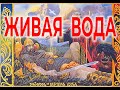 Технологии БеЗсмертия Живая вода | Виктор Максименков