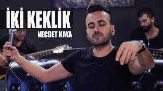 Necdet Kaya - İki Keklik (Akustik) Resimi