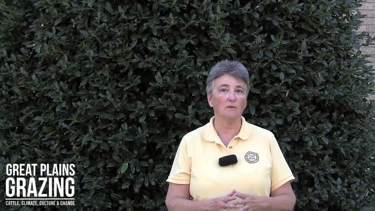 Can you describe the magnitude of the agricultural ecosystem? Dr. Jean Steiner - Speed Science