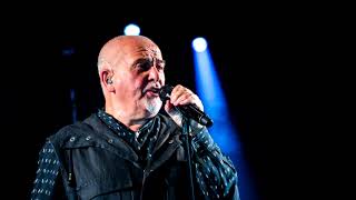 Peter Gabriel - Fourteen Black Paintings