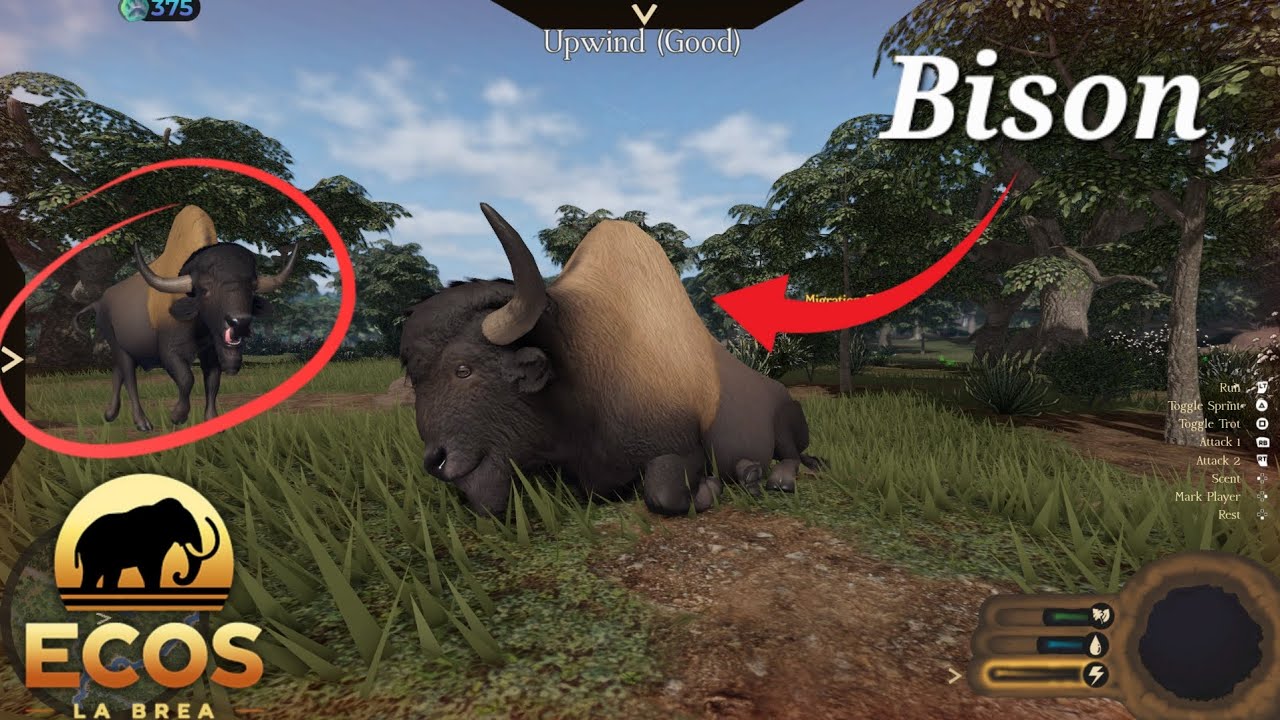 Life of a Bison Roblox: Ecos - La Brea 