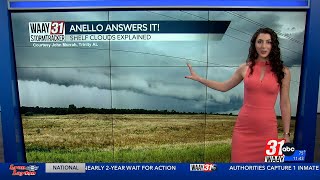 Celebrity Anello Answers It: Shelf Clouds Explained Profile