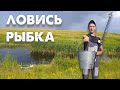 Загон для индюков // Рыбалка // Хлопоты на пасеке