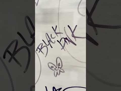 A small vlog by LISA ✨