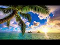 日劇海灘男孩插曲 Sing A Love Song For Me 日劇海灘男孩插曲 Sing A Love Song For Me