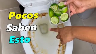 1 TRUCO para limpiar el INODORO CON cascaras de LIMÓN