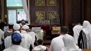הרב אייל עמרמי - תפילת שחרית חול המועד פסח - יח' ניסן תשפ"ו [30.03.26]