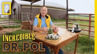 Reaching Deep - Season 2, Episode 6 | Coffee Break With Dr. Pol