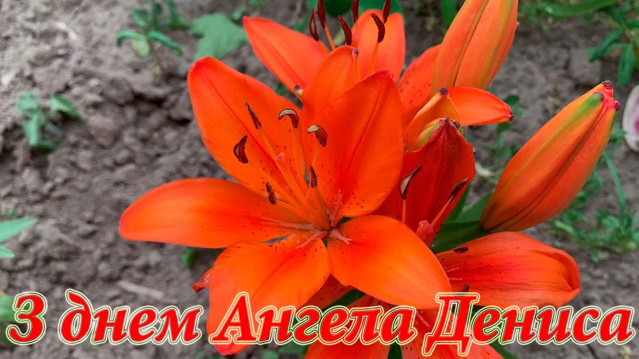 Вітаю Дениса з днем Ангела! Привітання з іменинами для Дениса ...