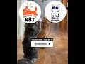 Si oyen kagak dapat || Kucing Lucu Paling Ngakak Part 1851 || #funny #shorts #fyp