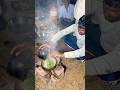 खुले आसमान के नीचे खाना #village #cooking #food #rajasthani #old #culture #desi #lifestyle #shorts