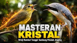 MASTERAN KRISTAL REMIX JINGJING PETULAK SAMBUNG BRINJI RAMBUT TUNGGIR SUARA JERNIH ADA JEDA
