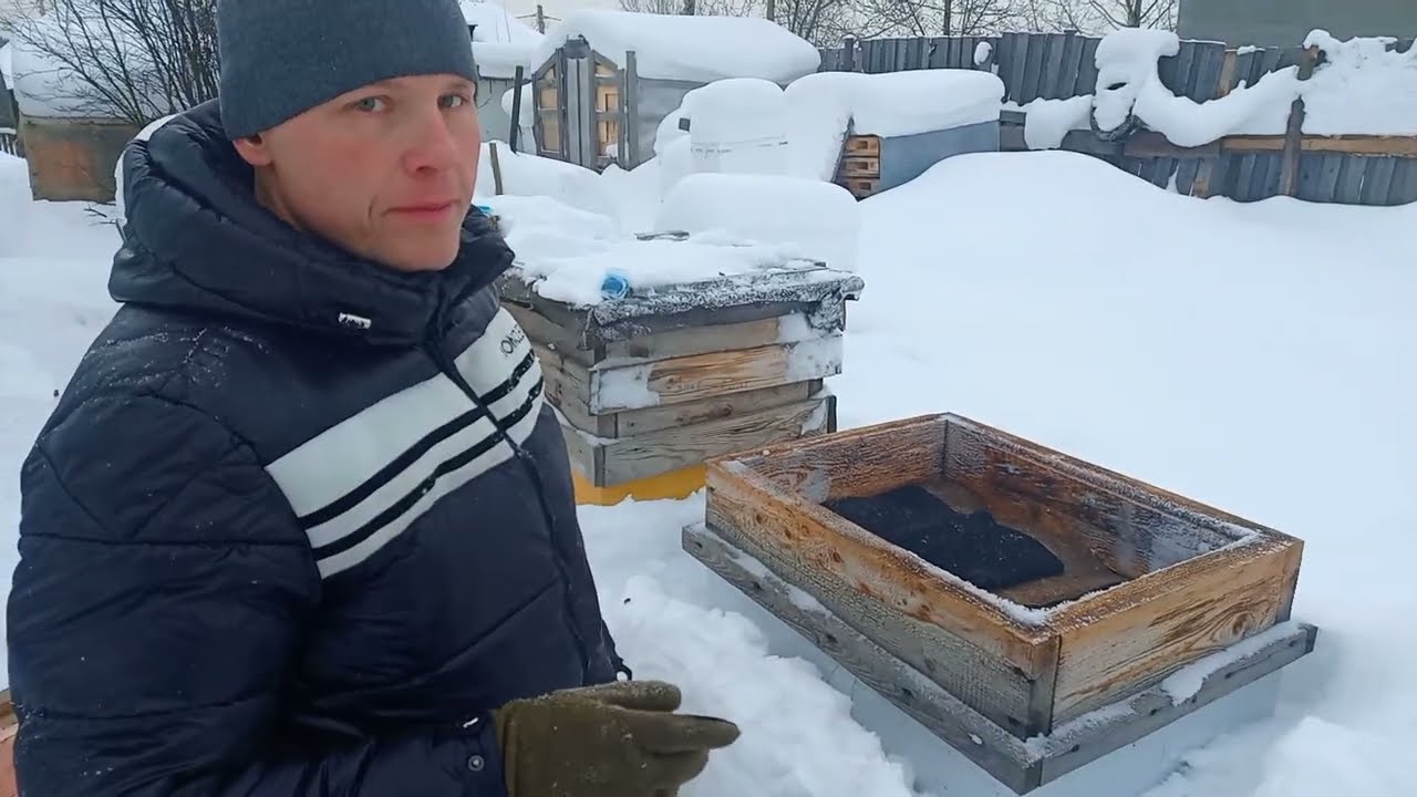 Январь . Даю канди , заодно проверить состояние семей .