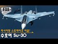 러시아판 스트라이크 이글! 수호이 Su-30