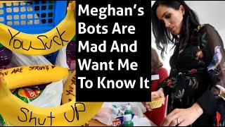 Harry And Meghan Fans Let Me Know Their Thoughts Reading The Negative Comments