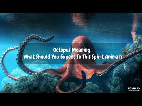 Octopus Meaning: What