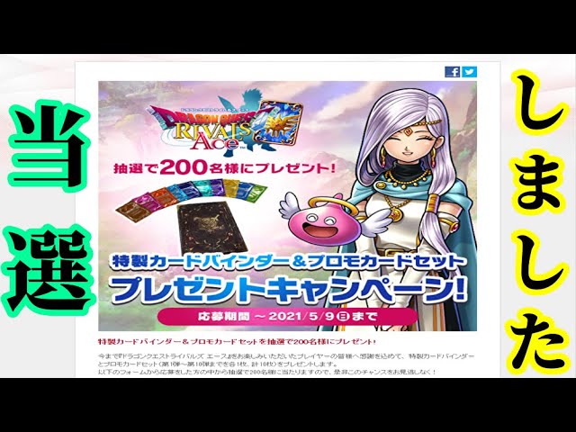 ドラゴンクエストライバルズ バインダー 【公式通販】