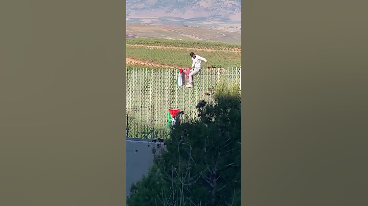🇵🇸🇱🇧 Ливанцы возвысили флаг Палестины на ливано-палестинской границе, находящейся под контролем изрл