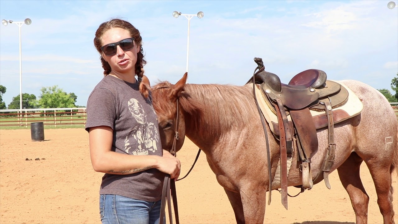 Barrel Horse Training Ground Drills YouTube