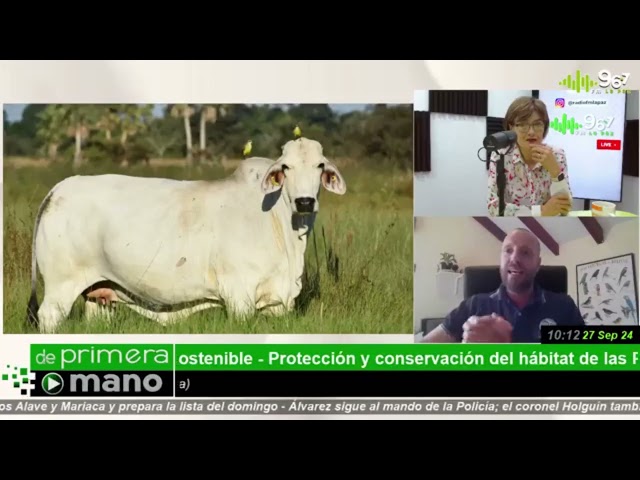 Protección y conservación del hábitat de la Paraba Barba Azul