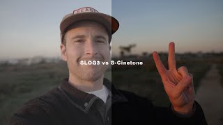 The Best Sony Picture Profile | SLOG3 vs SCinetone