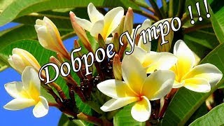 🌼Шикарное Пожелание С Добрым Утром Под Сказочную Музыку!🌻Доброе Утро !🌷Красивая Песня