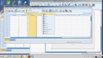 Creating Box Plots with SPSS