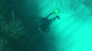 100_0020.MOV