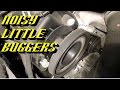 Ford Quick Tips #70: Quickly Diagnose Hard to Find Belt Noises