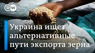 Как Украина будет экспортировать зерно после выхода России из 