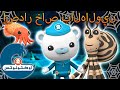 أوكتونوتس | 🎭 خدعة أو هدية مخلوقات مموهة 👻 | 🎃 إصدار خاص بالهالوين |  حلقات مجمعة