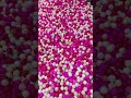 【Funny TikTok】エチエチ🤣すごいぞ中国　パンチラJUMP台