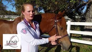 Celebrity Lund Snaffle Bridle, Kate's fit tips Net Worth