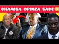 Chamisa aronga dhende zanu pf ya pama 1 