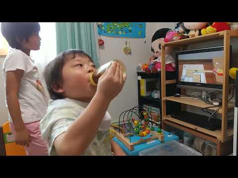 ピタゴラスイッチのピタゴラ装置の逆再生をお姉ちゃんと仲良くみるてっちゃん（発達障害-自閉性スペクトラム症）