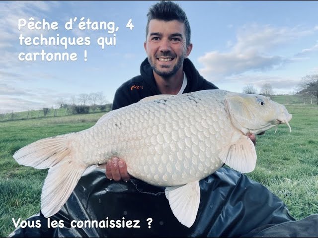 Pêchez la carpe à…la craw ! - Blog Flashmer