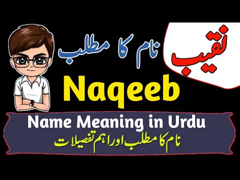 Naqeeb Name Meaning in Urdu & Hindi