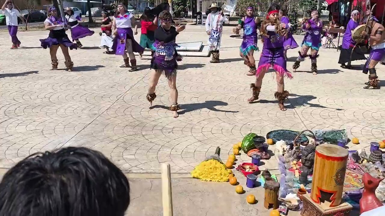 DANZA TLALOC